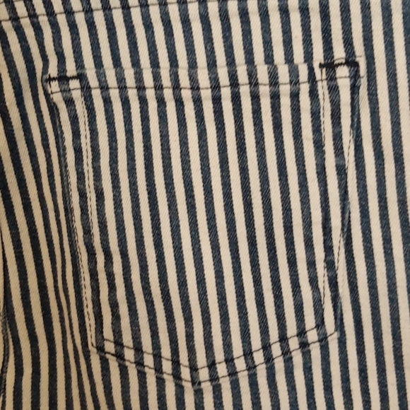 Theory Indigo and White Striped Denim 5 Pocket Jeans Shorts, Size 28 - Picture 7 of 11
